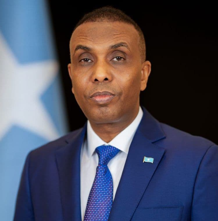 Hamza Abdi Barre - Prime Minister