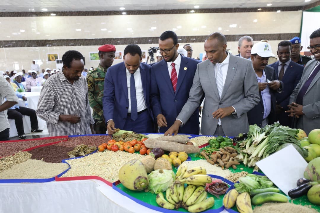 Ra’iisul Wasaare Khayre: Kobaca Dhaqaalaha Soomaaliya Waxa Uu Ku Xiranyahay Kordhinta Tacabka Iyo Wax Soo Saarka Beeraha