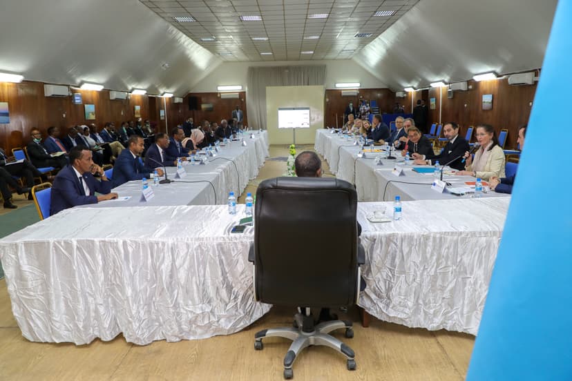 The Federal Government of Somalia and the European Union held a political dialogue