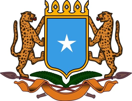 National Consultant (1) for the implementation of PCVE Platforms in South West State