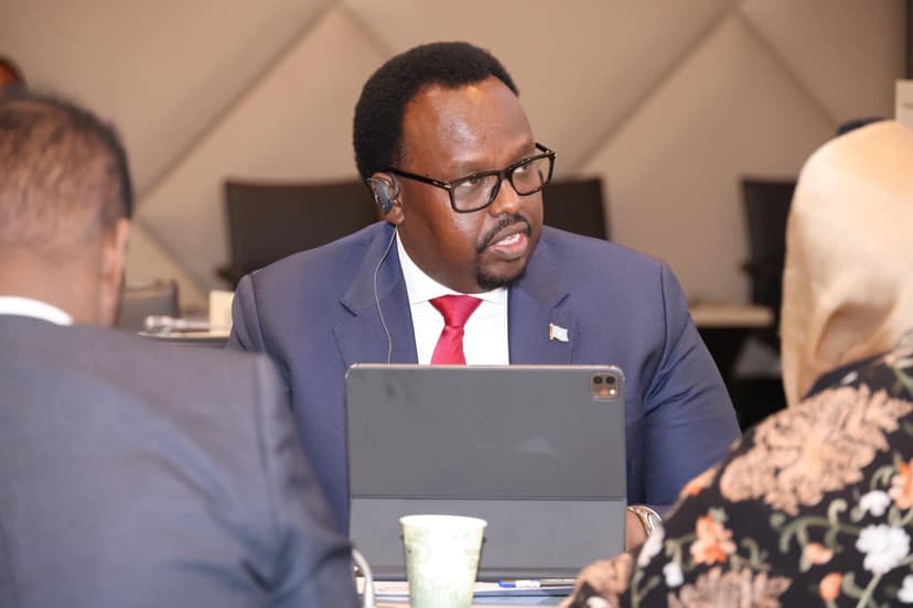 Ra’iisul wasaare ku xigeenka koowaad ee dalka oo Geneva uga qeyb galay shir looga hadlay ku biirista Somalia ee ururka ganacsiga Adduunka