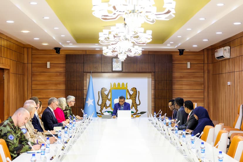 Ra’iisul Wasaare Xamsa oo Wafdiga Midowga Yurub kala hadlay Amniga, La-dagaallanka Khawaarijta iyo Geeddi-socodka Dimuqraaddiyadda