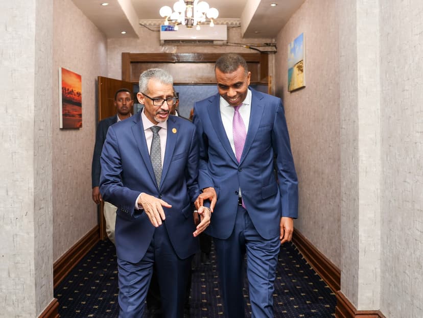 Ra’iisul Wasaare Xamsa Cabdi Barre oo Qaabilay Wafdi ka Socda Jaamacadda Carabta, Kuna Adkeeyay Xoojinta Iskaashiga Waxbarashada iyo Horumarinta Luqadda Carabiga
