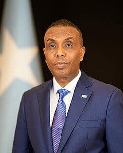 Hamza Abdi Barre - Prime Minister