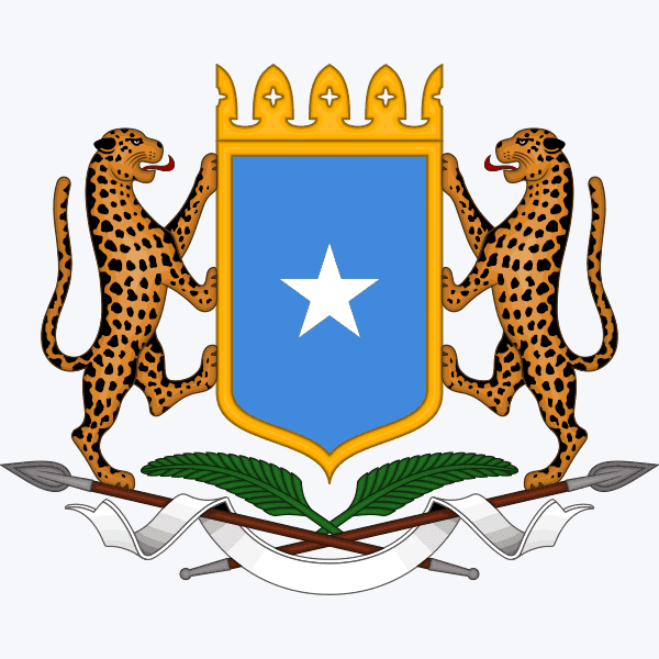 Somalia Backs Counterterrorism Campaign Against Al-Shabaab