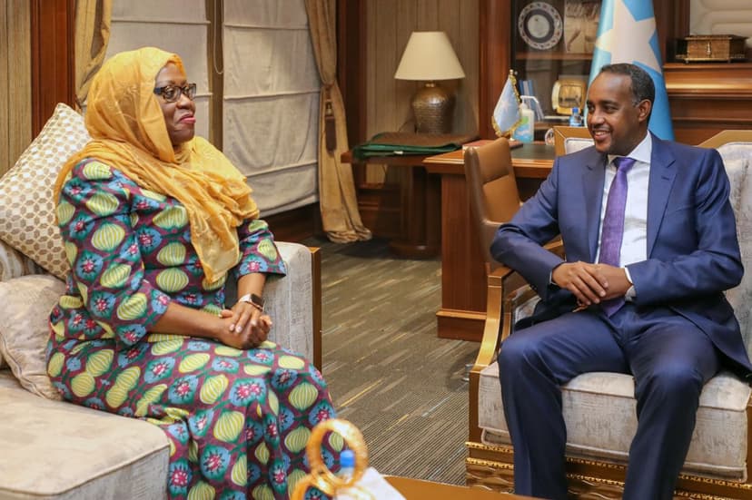 Ra’iisul Wasaare Rooble oo kulan la qaatay kaaliyaha Xoghayaha Guud ee Qaramada Midoobay u qaabilsan arrimaha Afrika