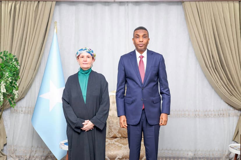 Ra’iisul Wasaare Xamsa Cabdi Barre oo Qaabilay Wakiilka Cusub ee UNICEF, Kuna Adkeeyay Xoojinta Iskaashiga Adeegyada Aasaasiga ah iyo Horumarinta Qaranka